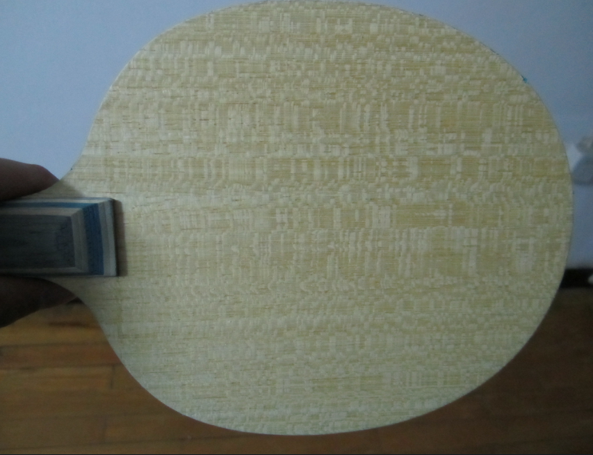 һ�Ĵ�ľ�ˣ�������FL����սVIS