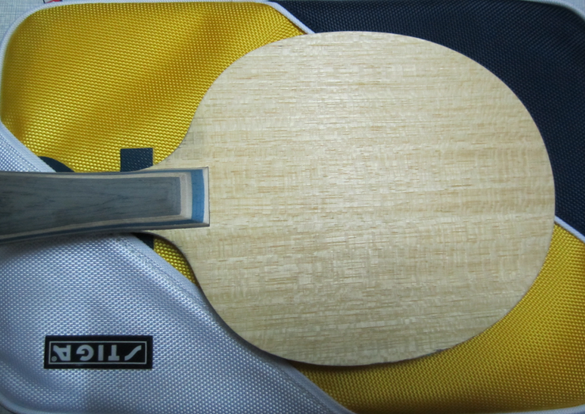 һ�Ĵ�ľ�ˣ�������FL����սVIS