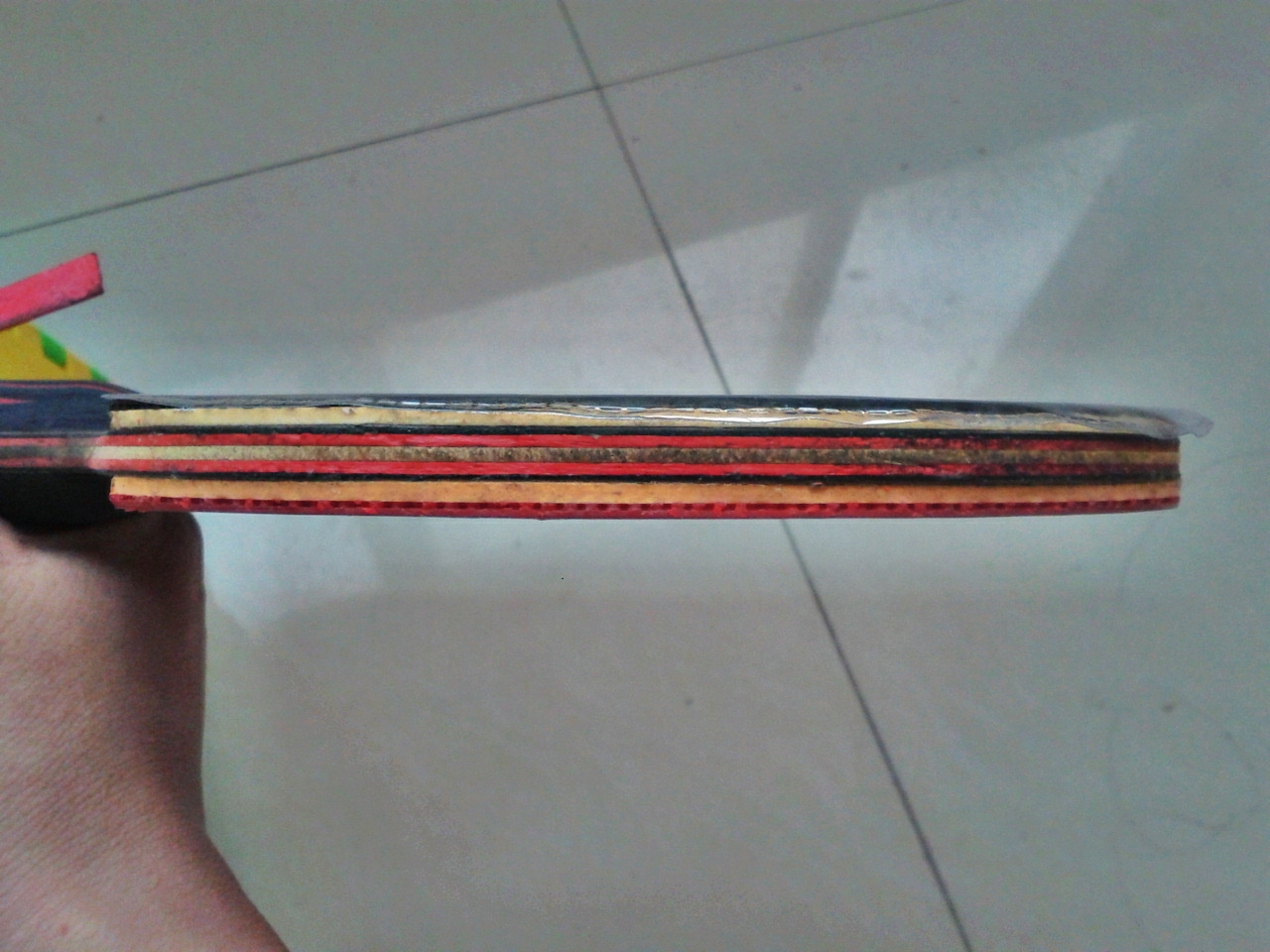 ���Ʊ��ڣ�������