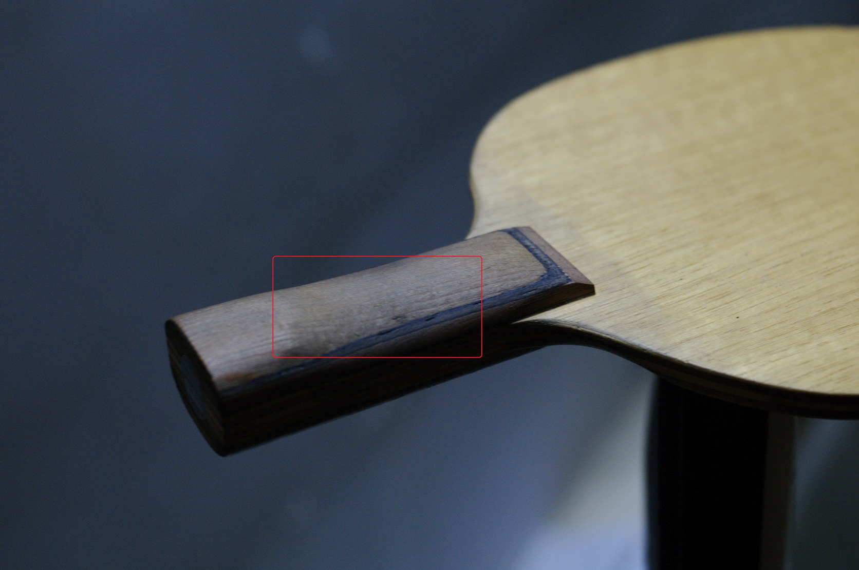 ������ ���ѳ� 430����