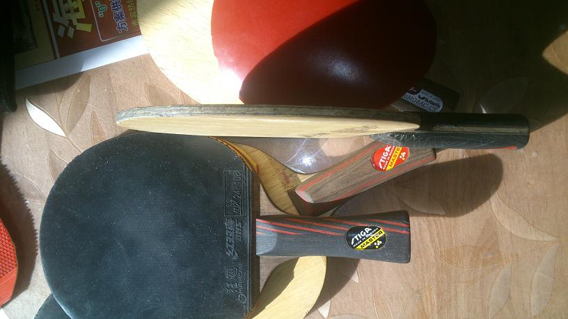 260���ʳ���̼֩����