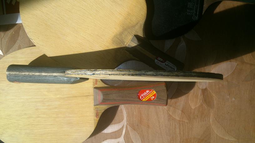 260���ʳ���̼֩����