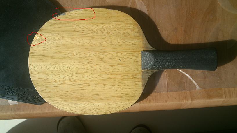 260���ʳ���̼֩����