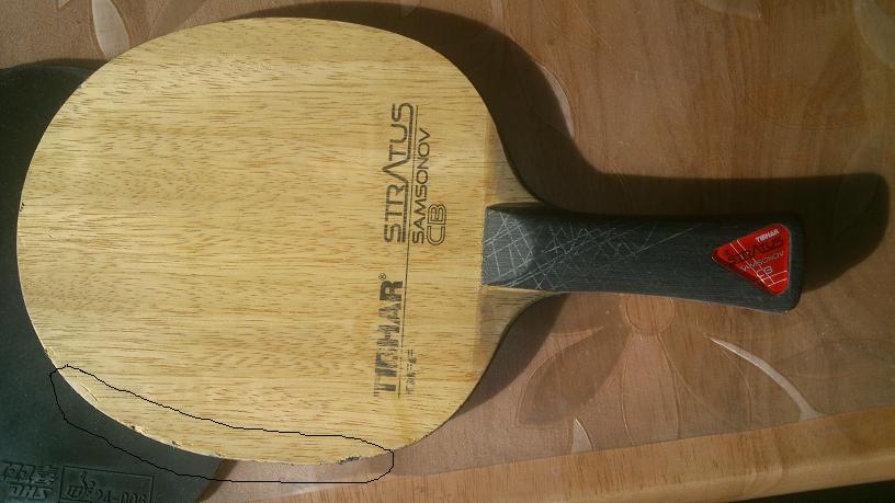 260���ʳ���̼֩����