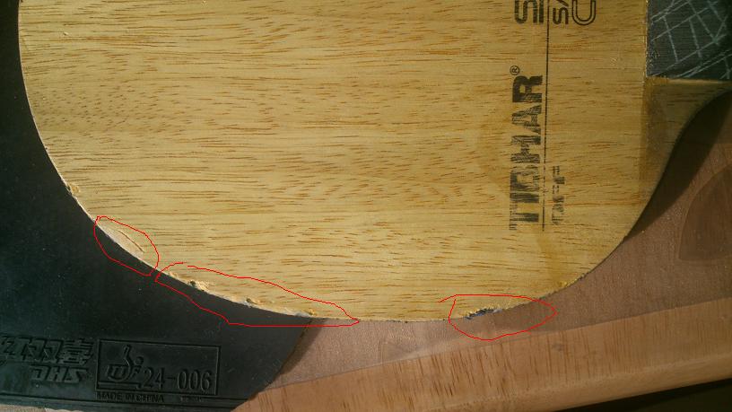 260���ʳ���̼֩����