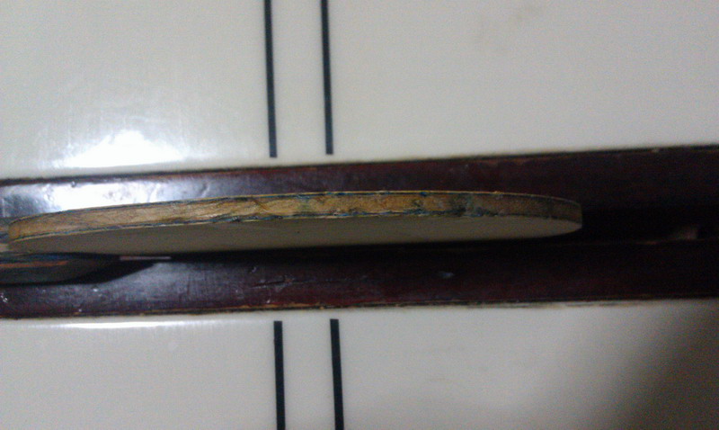 [ԭ��]�����ѳ��л���������