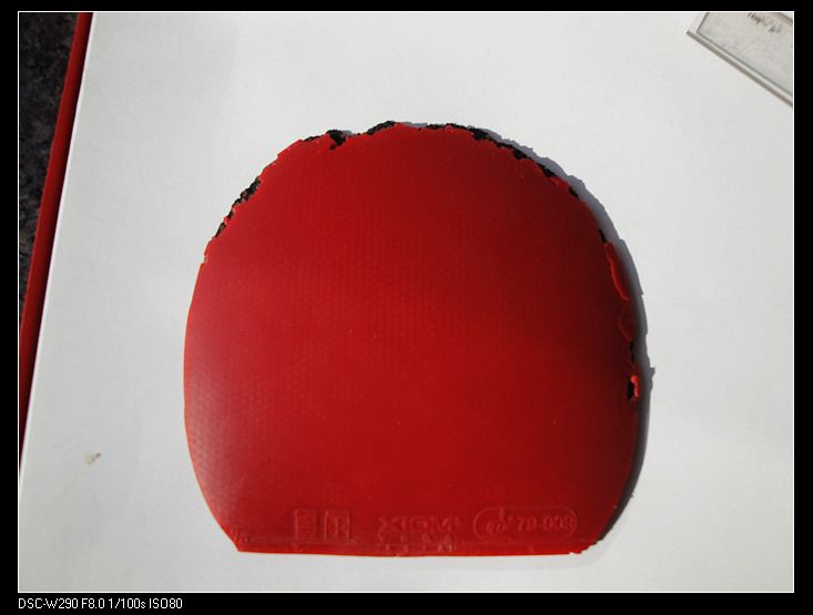 ���׽���,���ʹ�Z�����ȸ���֮�𣬶����F1������µ��׽�������������רҵ�����汾��