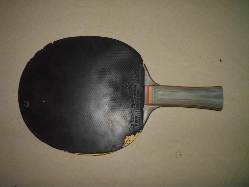 �����õ���������һֻ��80����