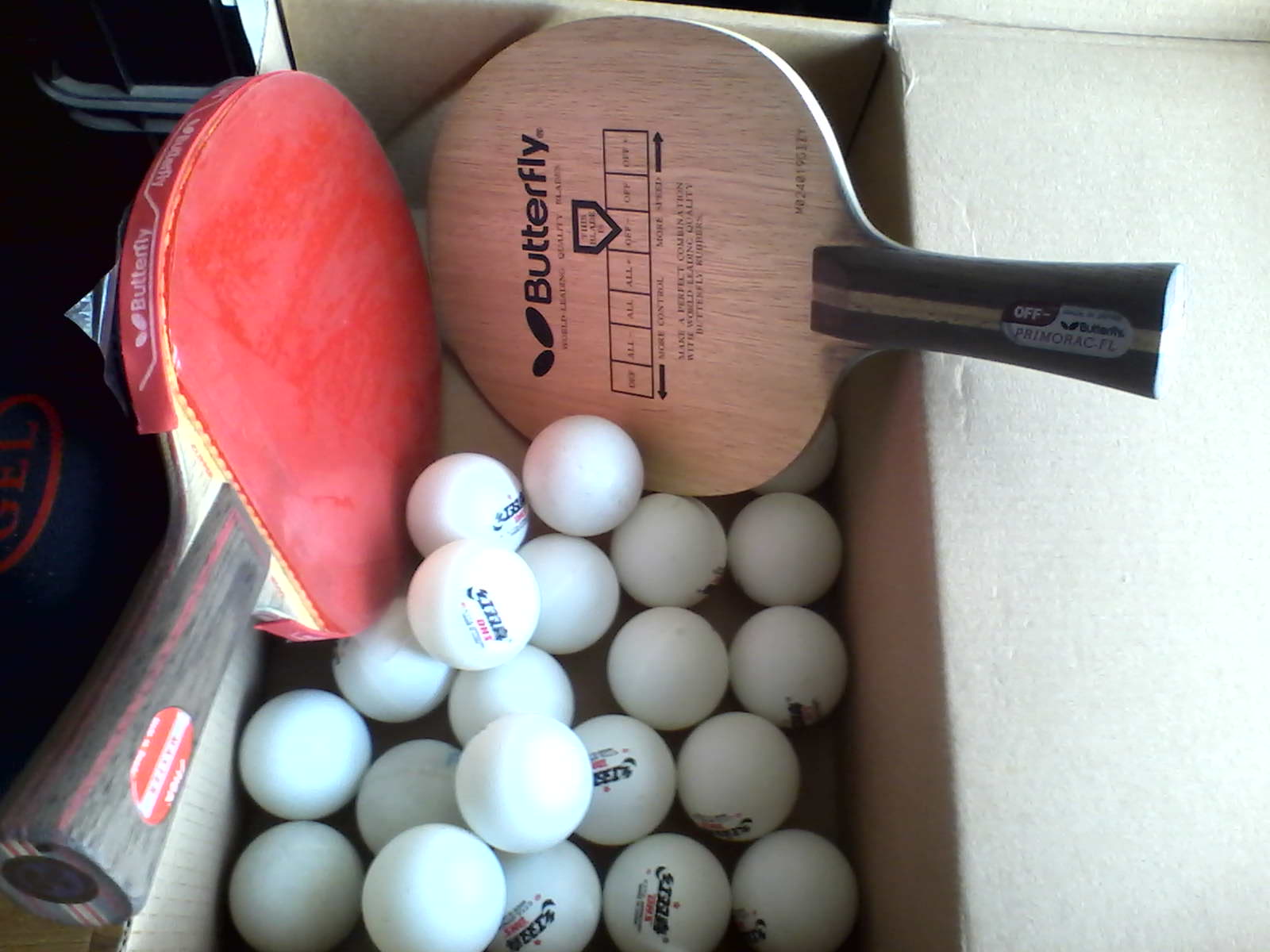 ����Ī���� ������   ����