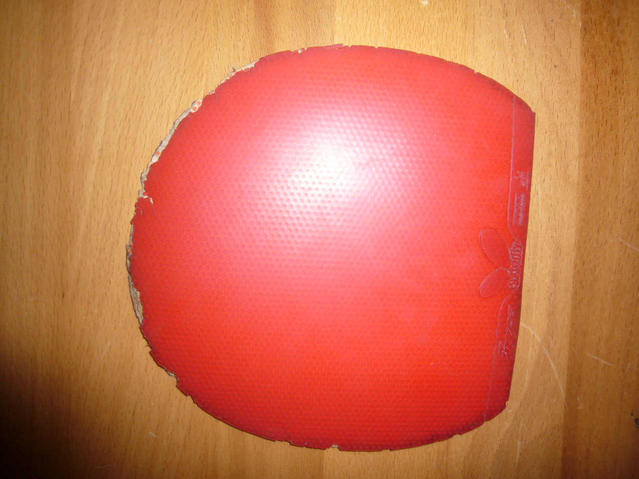 ����  �������� ����