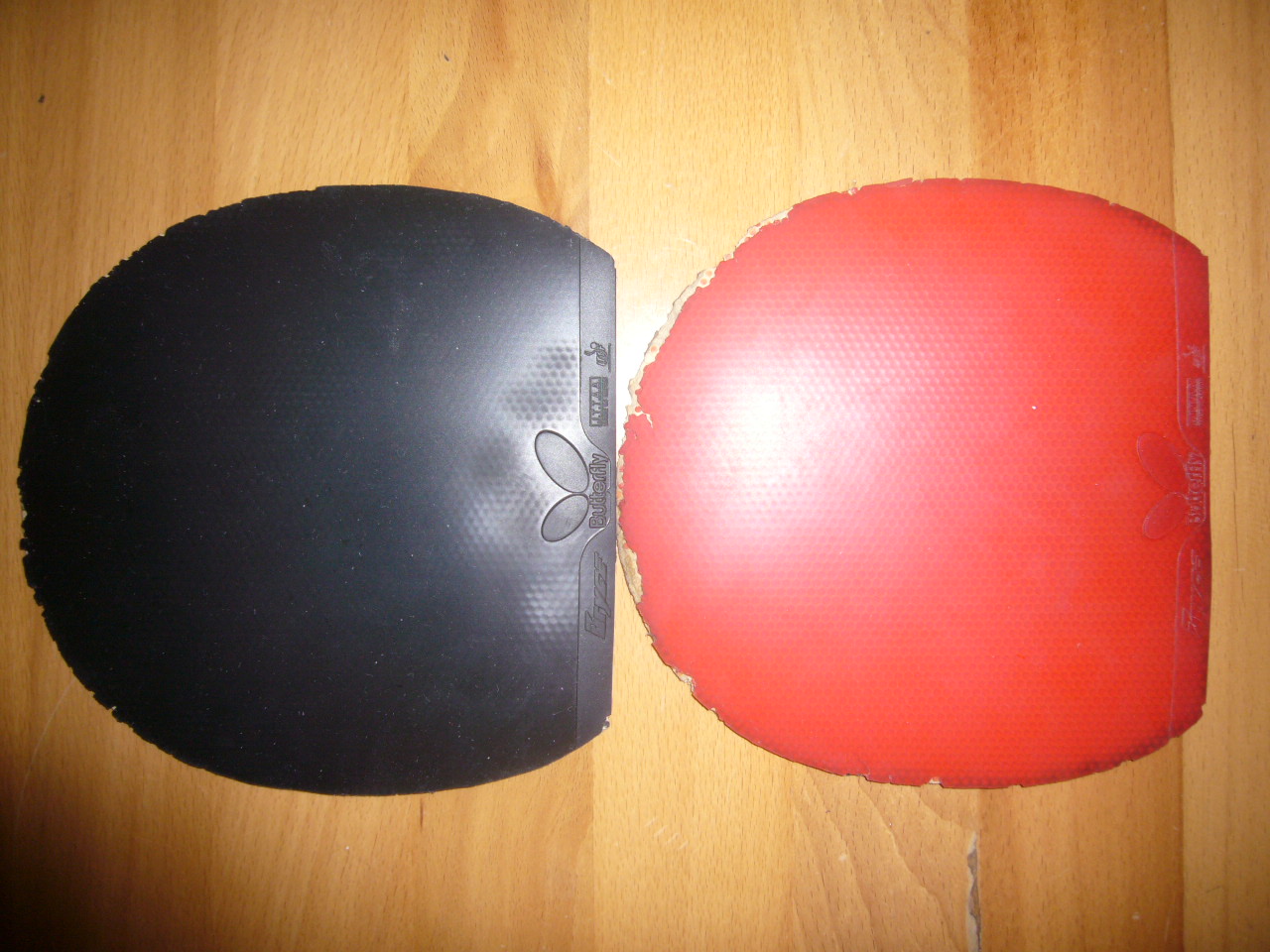 ����  �������� ����