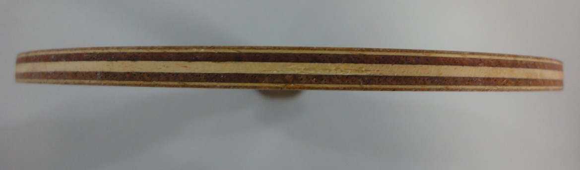 ����������Բ�����ִ�����~~~~~~