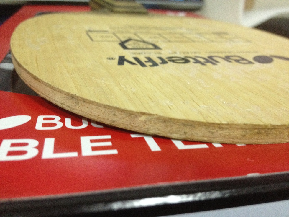 ����Ʊ���