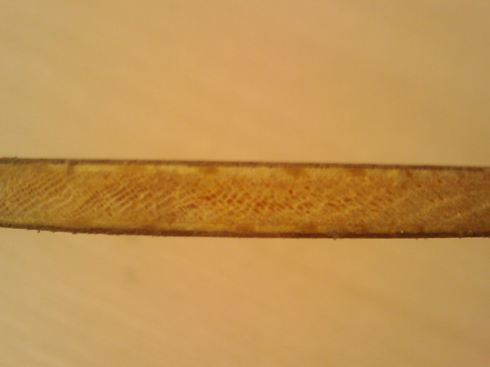 ����רҵ��YEO����