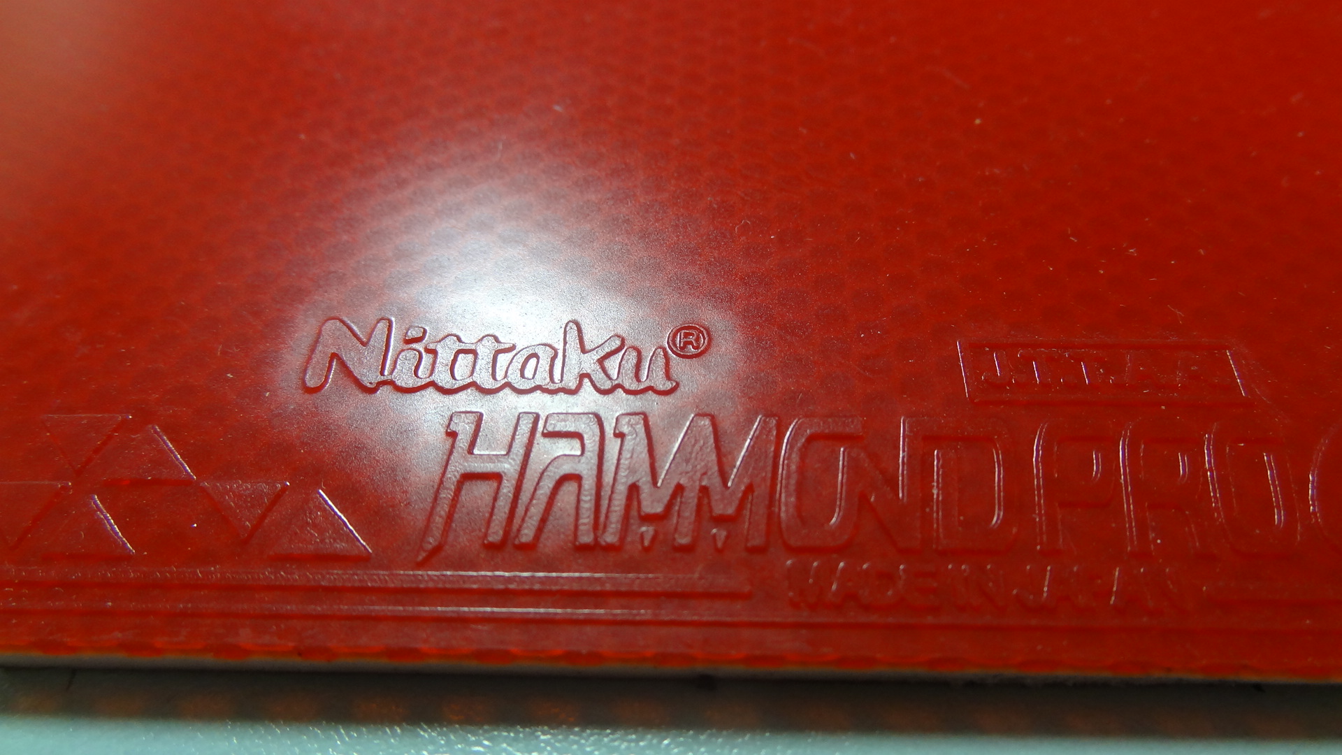 ͼɫµ ɵ nittaku hammond pro 