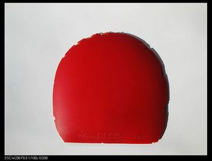 ������ݣ�֧�������Լ۱ȸߵ��׽���,����µ��׽���F1��������רҵ�����汾�����������׽�Ҫ����������һ�ţ���v���죩��F1���ڣ�����V���죩����Z���죩��