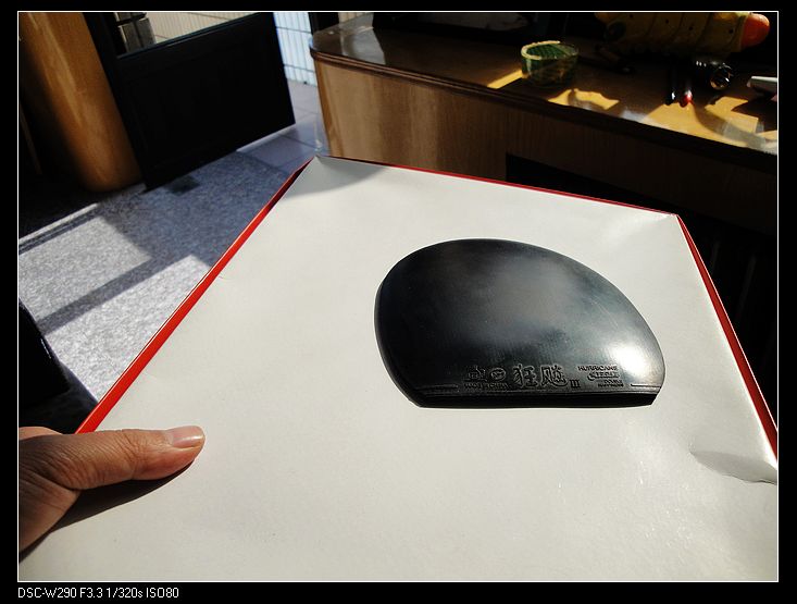 ֧������ ����������