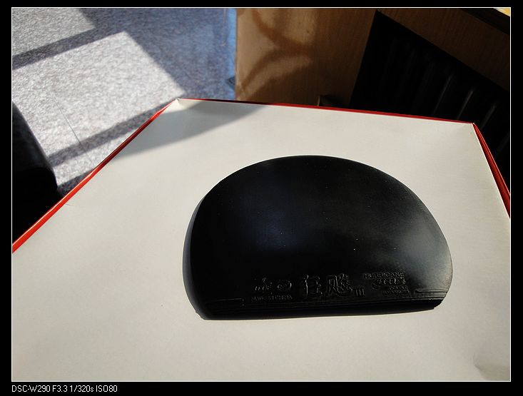 ֧������ ����������