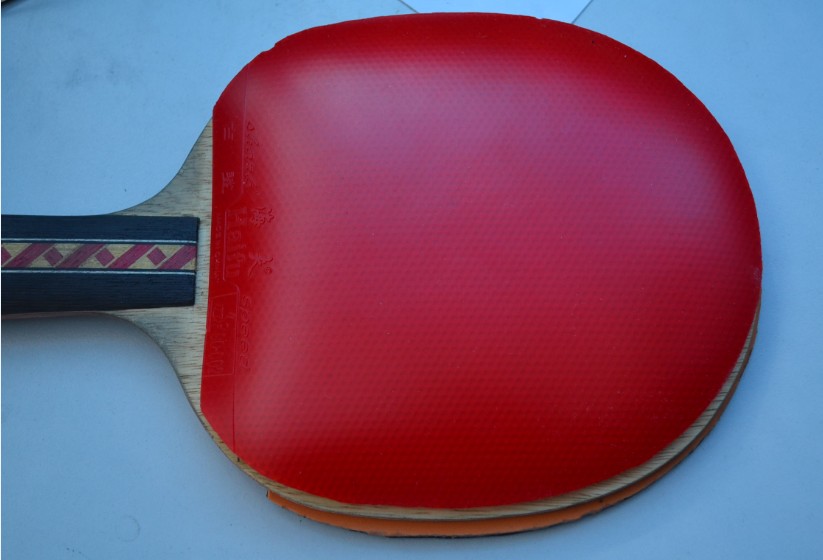 ����� ��ķ��ά��һ�ף������տ�39�����ְ���2ѵ����