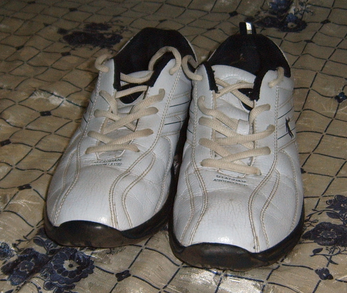 ת���ǵ�����Ь�������棩44��