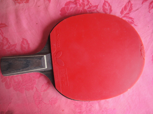 ��������T0564