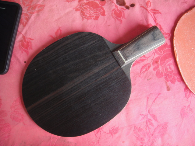 ��������T0564