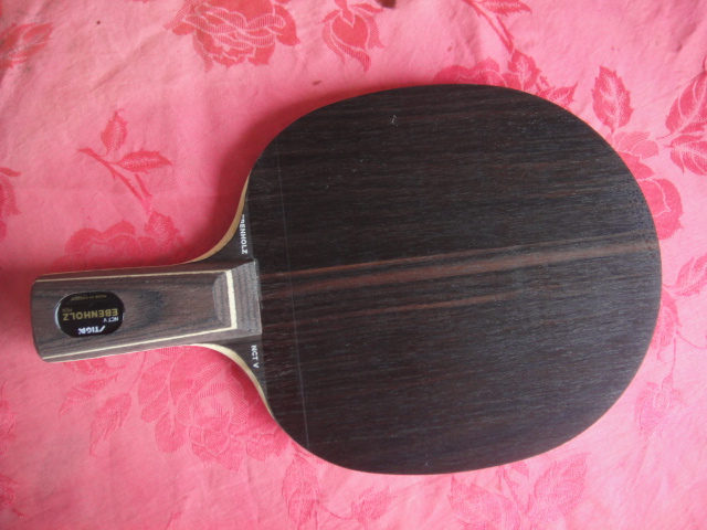 ��������T0564