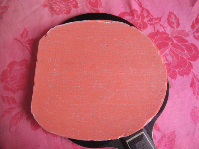 ��������T0564