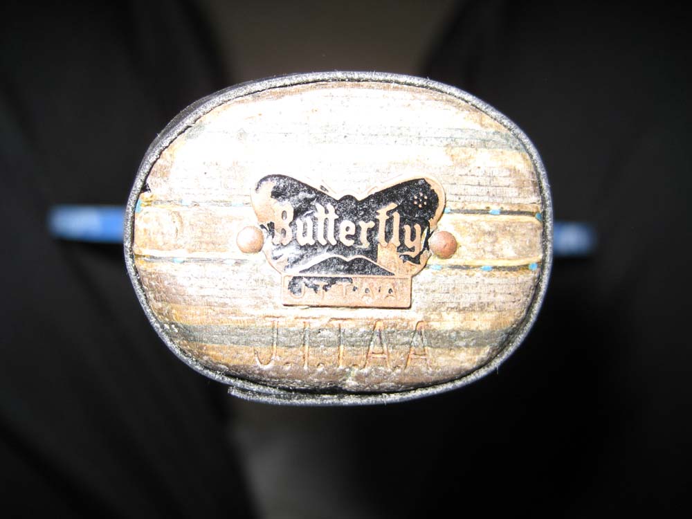 ��������VIS