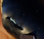 ֱͦγٳɫ   2  ɫʡ    80ʳ֧ף498893621/