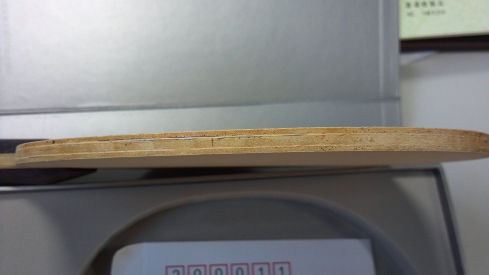 ���������˹�����