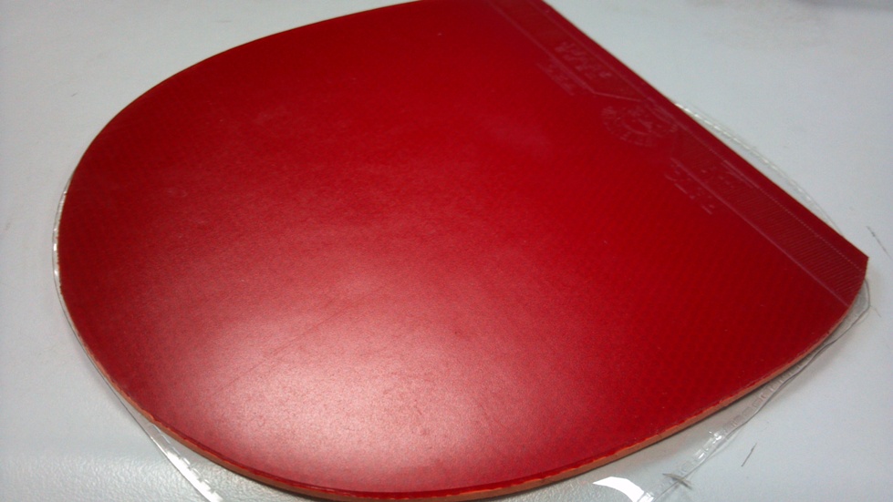 ���������˹�����