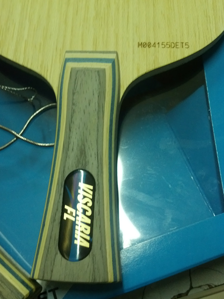 VISڵ