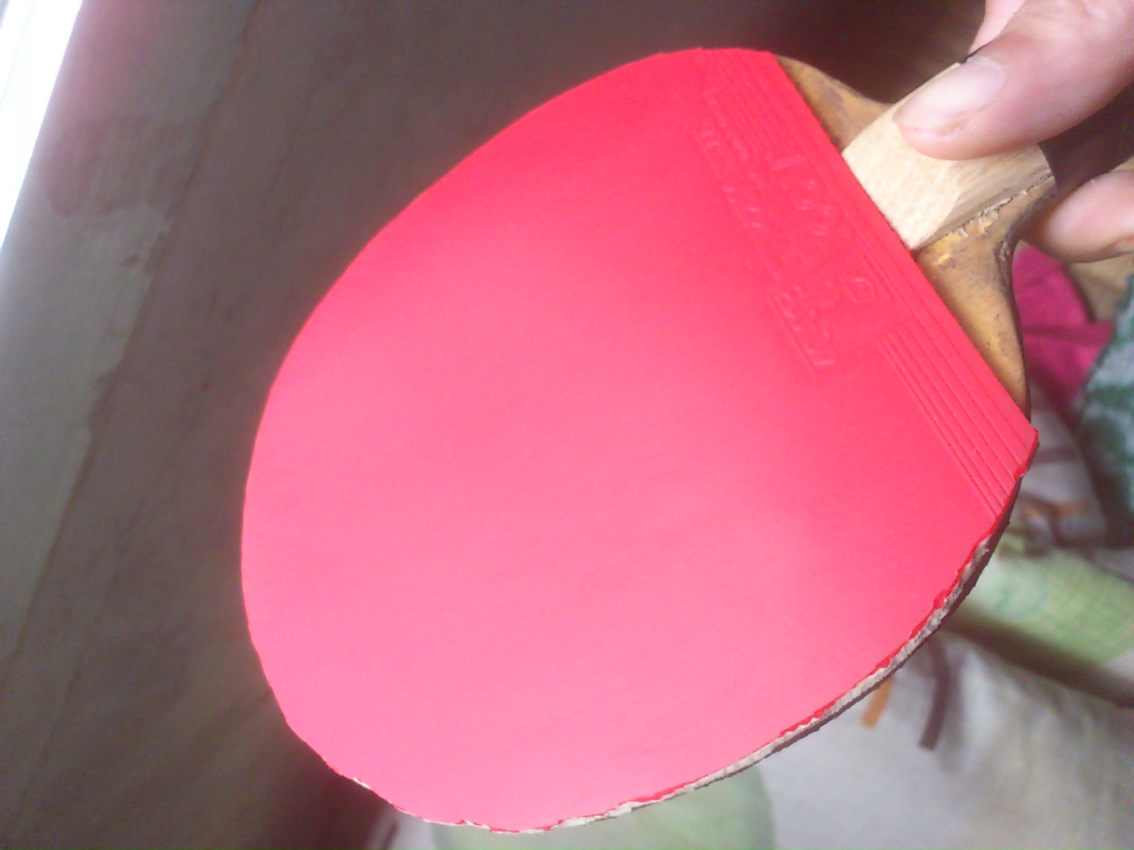 �����µ�����05����Z  ��V   F2  �켫��  ʡ�񡣡�������������