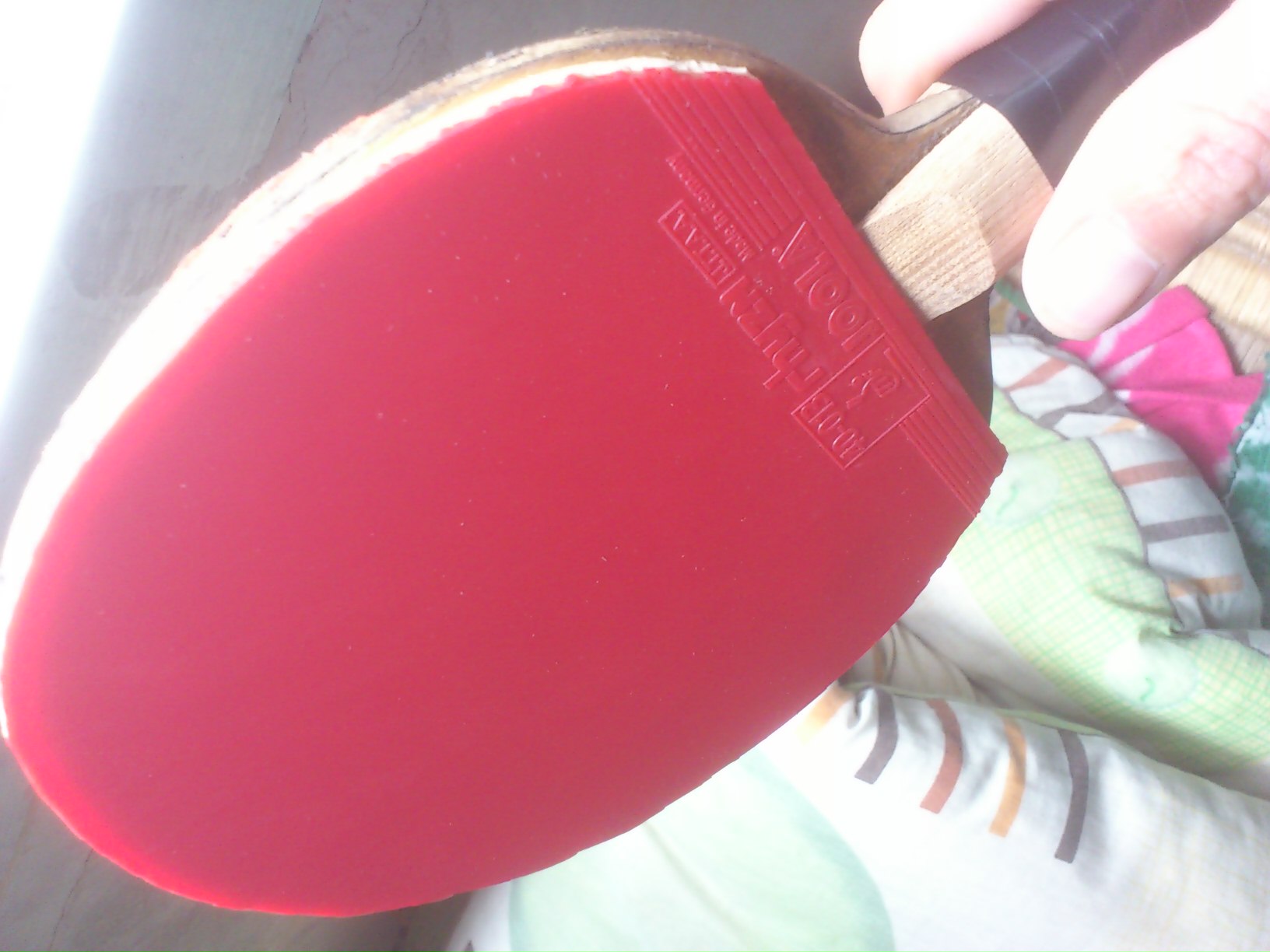 �����µ�����05����Z  ��V   F2  �켫��  ʡ�񡣡�������������