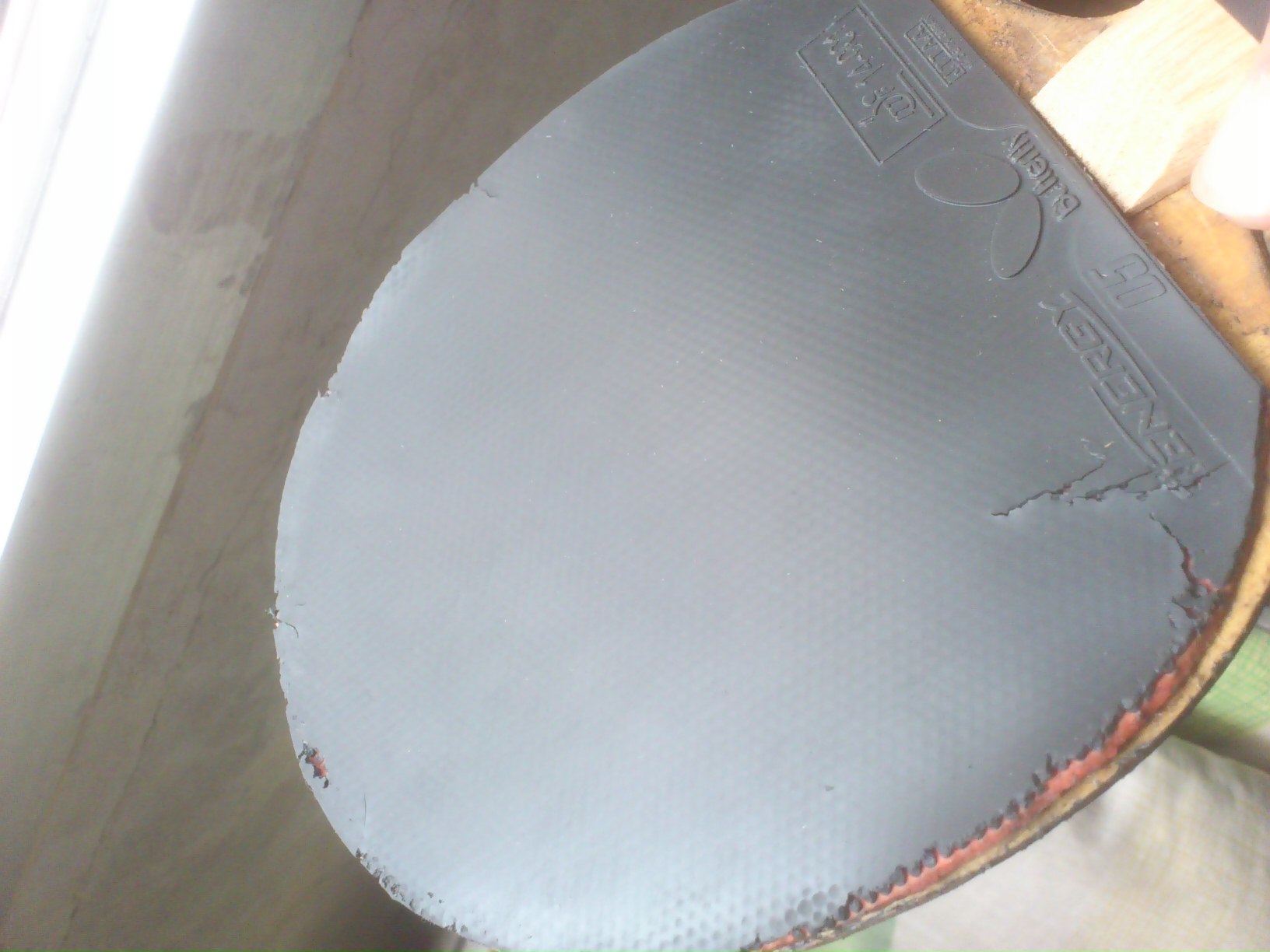 �����µ�����05����Z  ��V   F2  �켫��  ʡ�񡣡�������������