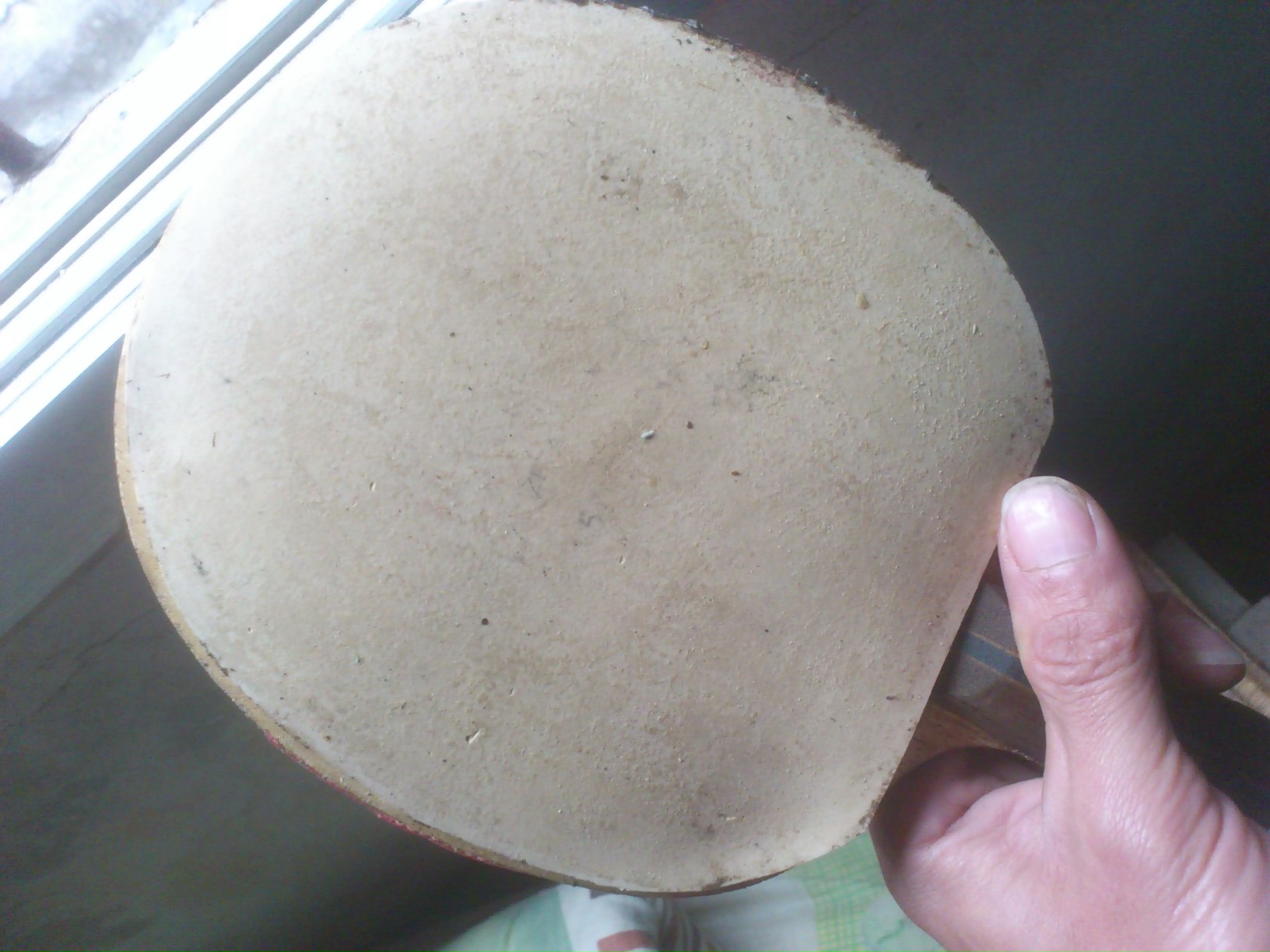 �����µ�����05����Z  ��V   F2  �켫��  ʡ�񡣡�������������