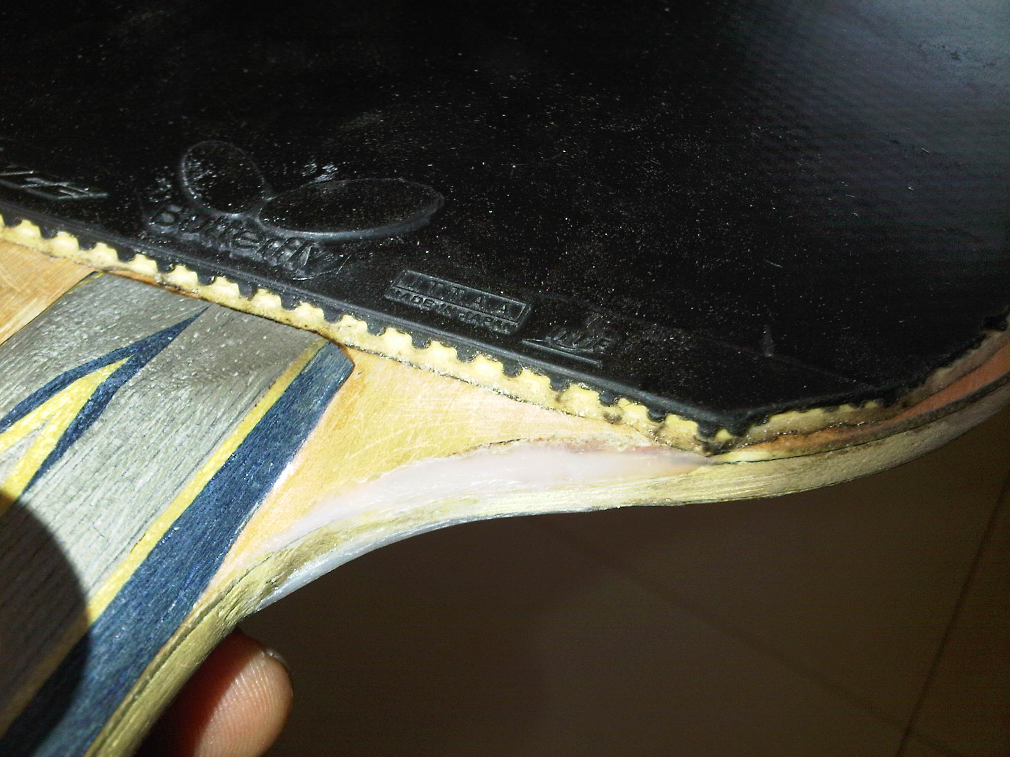 ���������ˣ����հ�������̼ysc