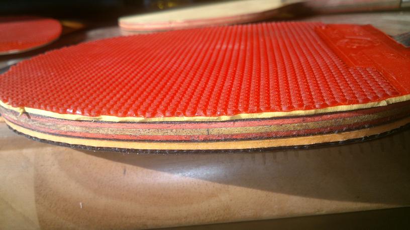 �����Ż�ľʾ������˹�ٿ����̼��˦