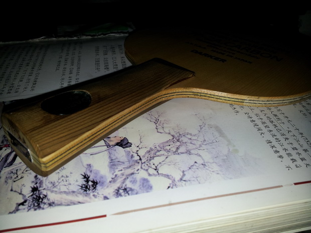 ���7P-2A.CARBON  ֧������������