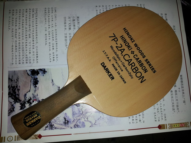 ���7P-2A.CARBON  ֧������������