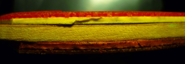 �ٳ���������������