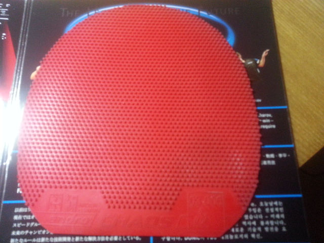 ���۰��ȳ�������