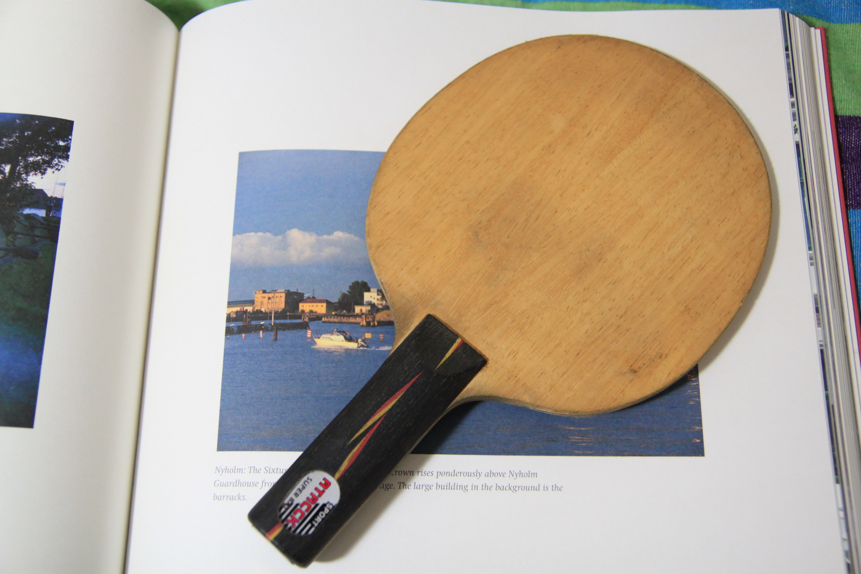 �ؿ��������澭����������YO 228Ԫ����