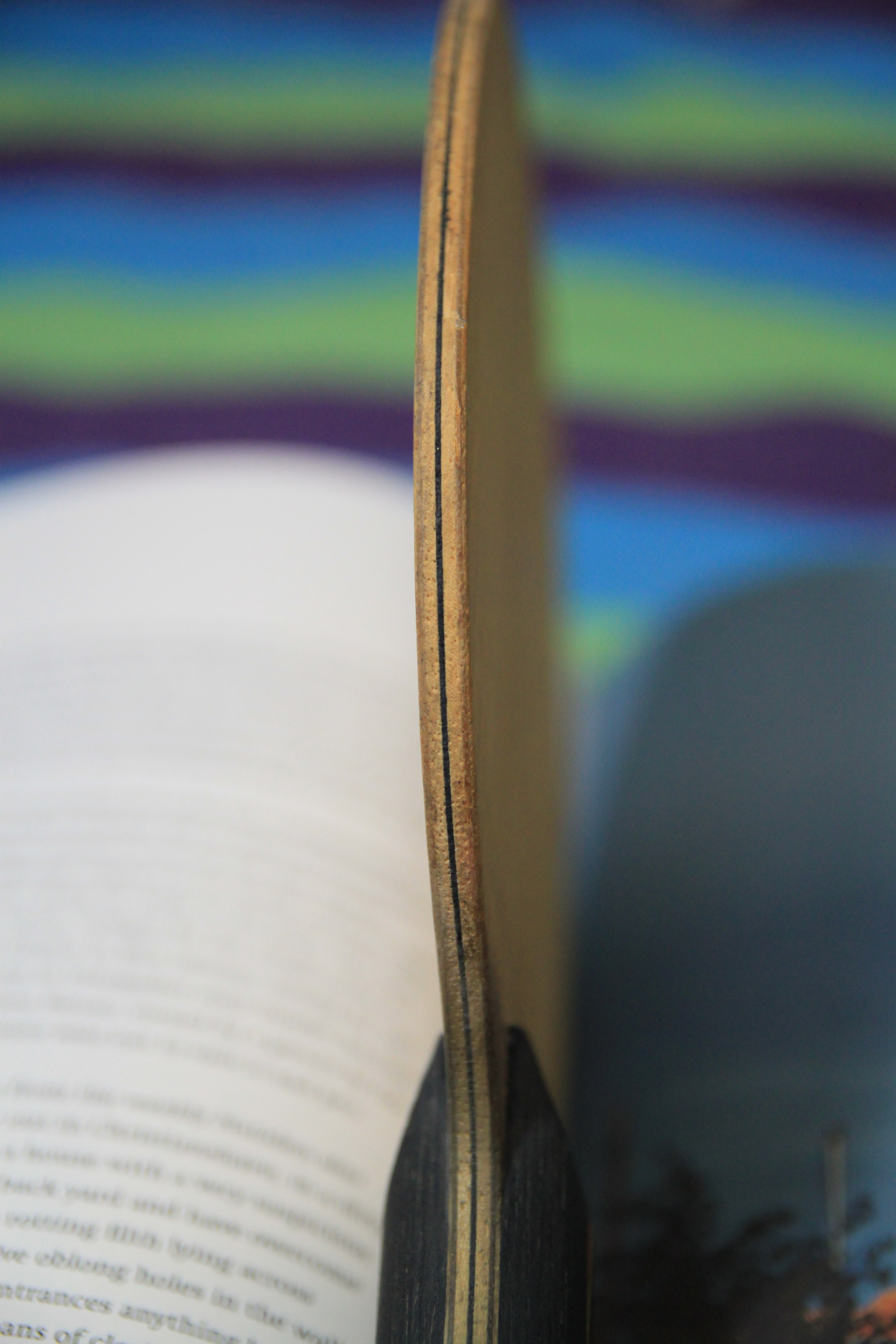 �ؿ��������澭����������YO 228Ԫ����