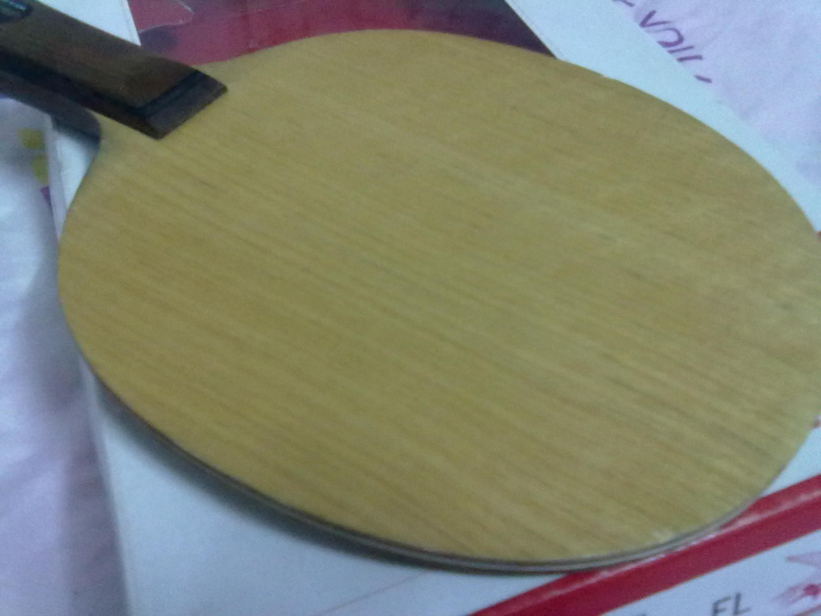 ��Բ��FL�����ִ��񡿣���