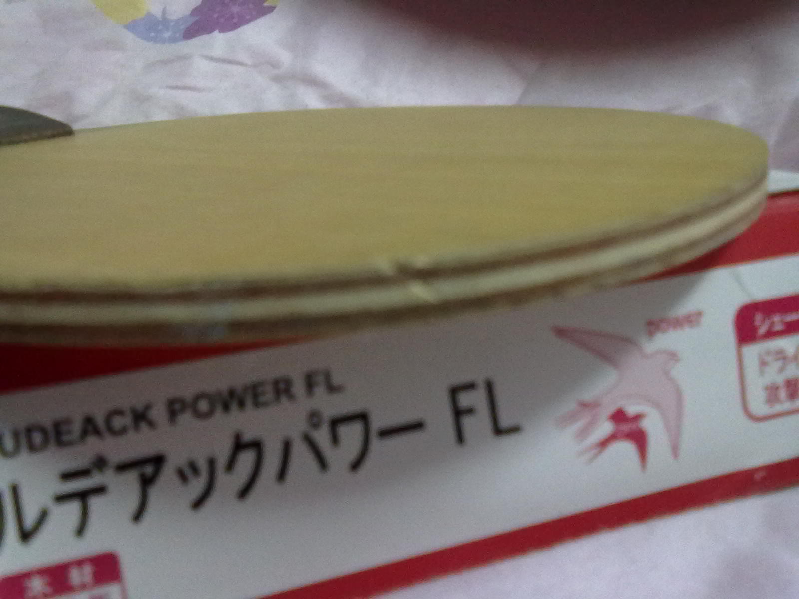 ��Բ��FL�����ִ��񡿣���