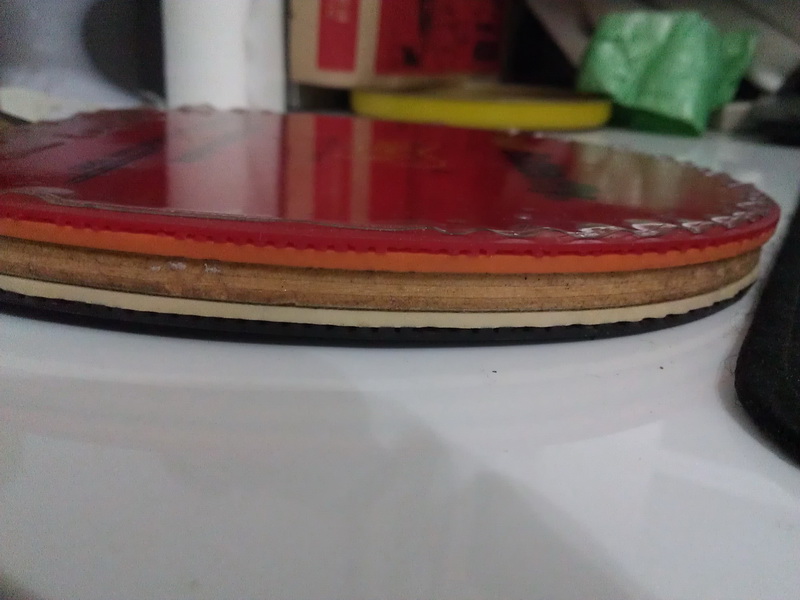 ------------�����������˵�����----------