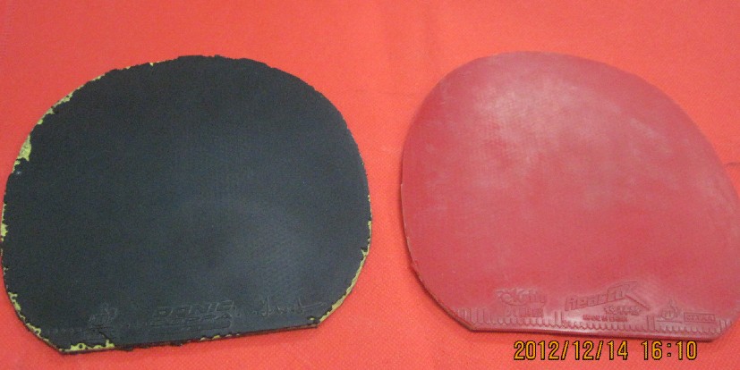 ���ճ��л�ͦ�θ�����˹