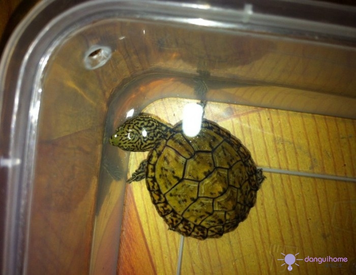 [ԭ��]��L�������VIS���׽���˳�����ǰ��Щ����